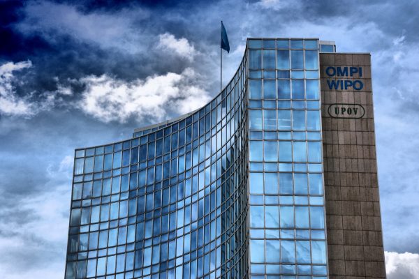 في 2023.. مصر تتقدم 3 مراكز على مؤشر الابتكار العالمي