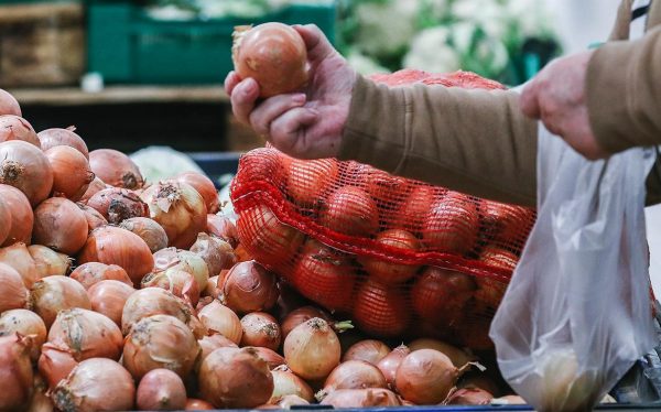 موسم مستقر للبصل المصري في أسواق التصدير