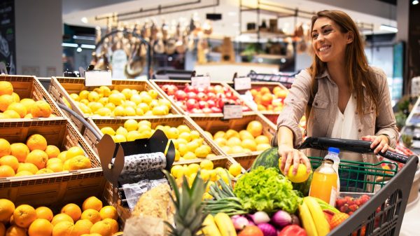 مراكز غذاء خضراء في مصر لأول مرة.. ماذا تعني وما أهميتها؟