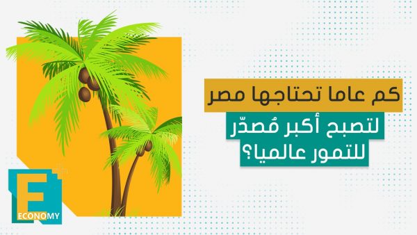 كم عاما تحتاجها مصر لتصبح أكبر مُصدّر للتمور عالميا؟