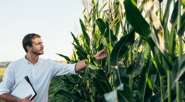 مستثمرون سعوديون: نسعى لزيادة استثماراتنا بمصر في المجال الزراعي