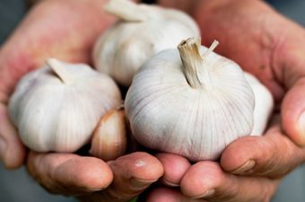 مصر تفتح سوق الأوروجواي أمام صادرات البصل والثوم