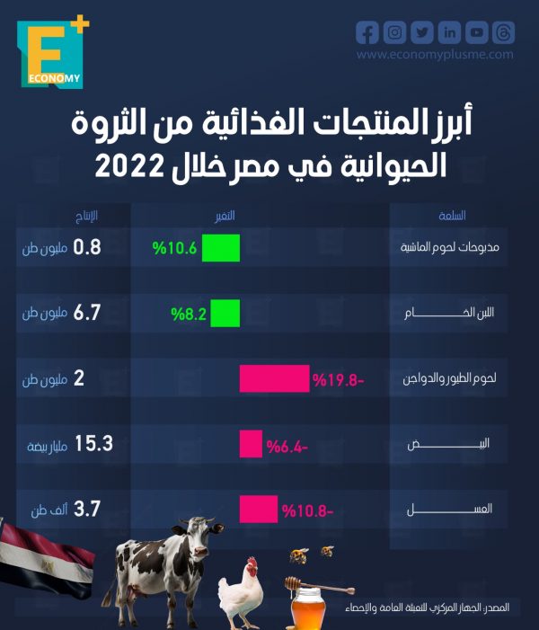 أبرز المنتجات الغذائية من الثروة الحيوانية في مصر خلال 2022