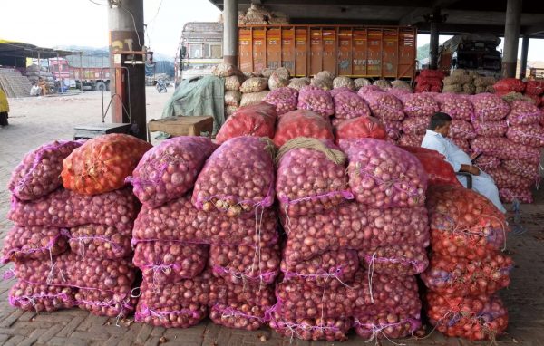 ضعف الطلب يُفقد مصر 25% من صادرات البصل