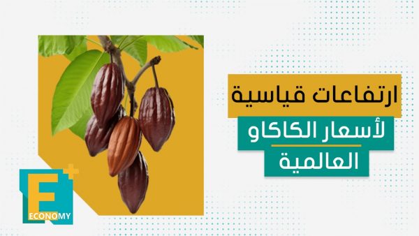 ارتفاعات قياسية لأسعار الكاكاو العالمية