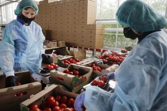 مستوى قياسي.. صادرات الصناعات الغذائية المصرية تسجل 4.47 مليار دولار خلال 7 أشهر
