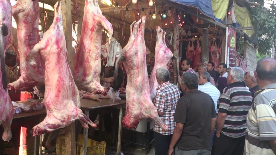الحكومة تعد خطة استباقية لتوفير الأضاحي والسلع خلال العيد