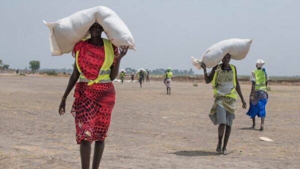 الحرب في السودان تقلص صادرات الأغذية المصرية بنحو الربع