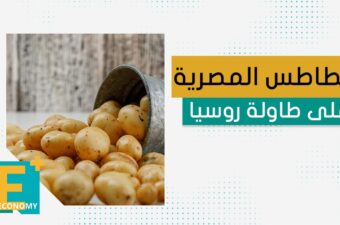 البطاطس المصرية على طاولة روسيا