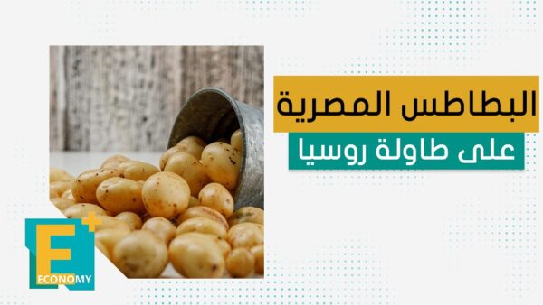 البطاطس المصرية على طاولة روسيا