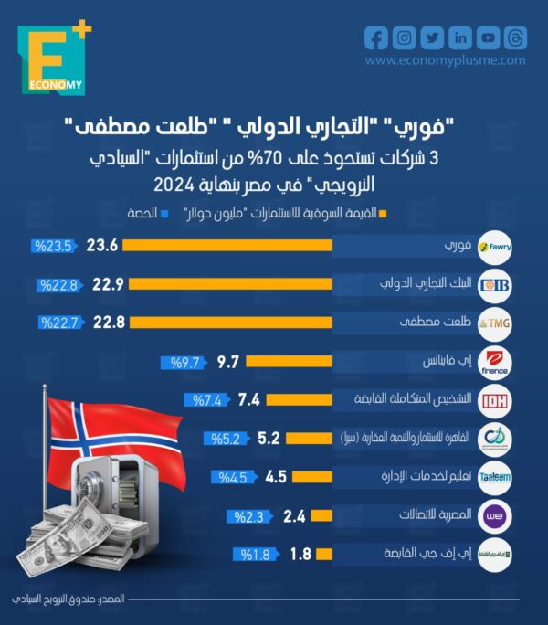 3 شركات تستحوذ على 70% من استثمارات “السيادي النرويجي” في مصر بنهاية 2024