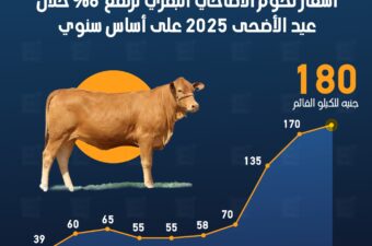 لحوم الأضاحي