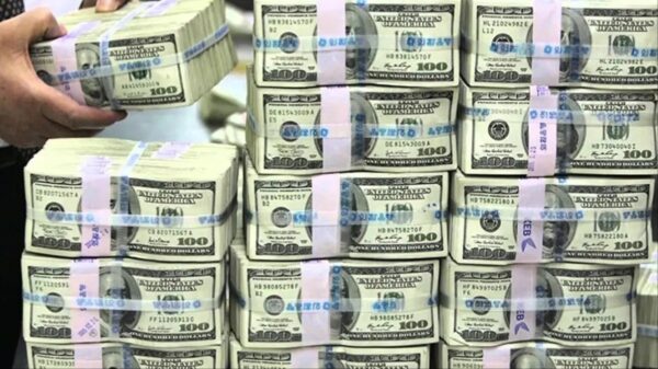 الأصول الأجنبية للبنك المركزي ترتفع إلى 10.1 مليار دولار بنهاية يونيو