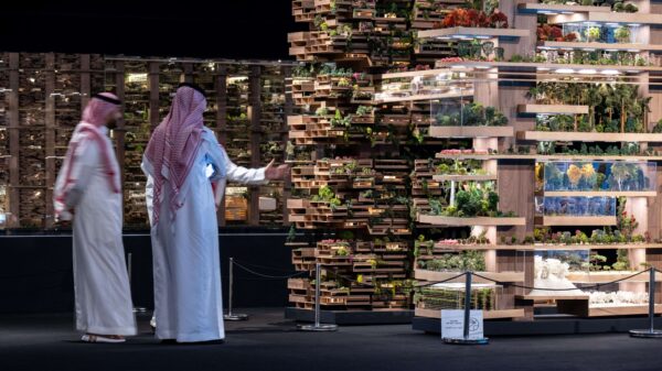 رابطصندوق النقد: القطاع غير النفطي يدعم الاقتصاد السعودي في مواجهة الصدمات الخارجية صندوق النقد: القطاع غير النفطي يدعم الاقتصاد السعودي في مواجهة الصدمات الخارجية