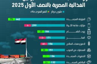 الفراولة المجمدة الأعلى تصديرًا بين الصناعات الغذائية المصرية بالنصف الأول 2025.
