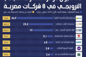 92 مليون دولار استثمارات السيادي النرويجي في 8 شركات مصرية.