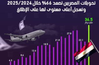 تحويلات المصريين العاملين بالخارج