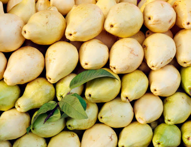 الجوافة