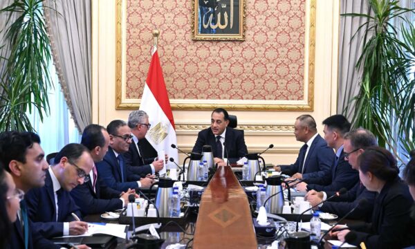 شركة صينية تعتزم نقل أجزاء صناعة الخلايا الشمسية إلى مصر