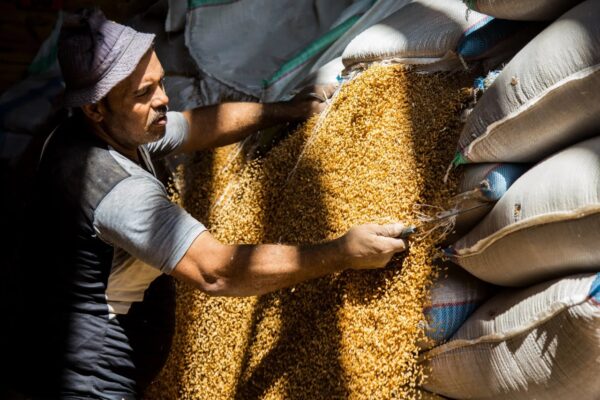 رابطاستهلاك القمح في مصر مرشح للارتفاع بـ300 ألف طن حتى يونيو المقبل استهلاك القمح في مصر مرشح للارتفاع بـ300 ألف طن حتى يونيو المقبل