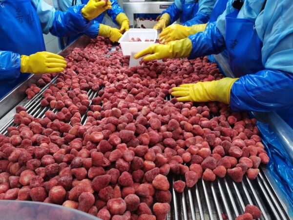 خلال 10 أشهر.. صادرات مصر من الصناعات الغذائية تقفز 11% إلى 5.8 مليار دولار