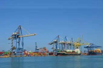 الإسكندرية لتداول الحاويات تقرر بيع حصتها في 