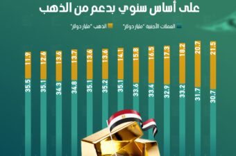 احتياطي مصر الأجنبي يرتفع 11% في فبراير على أساس سنوي بدعم من الذهب.