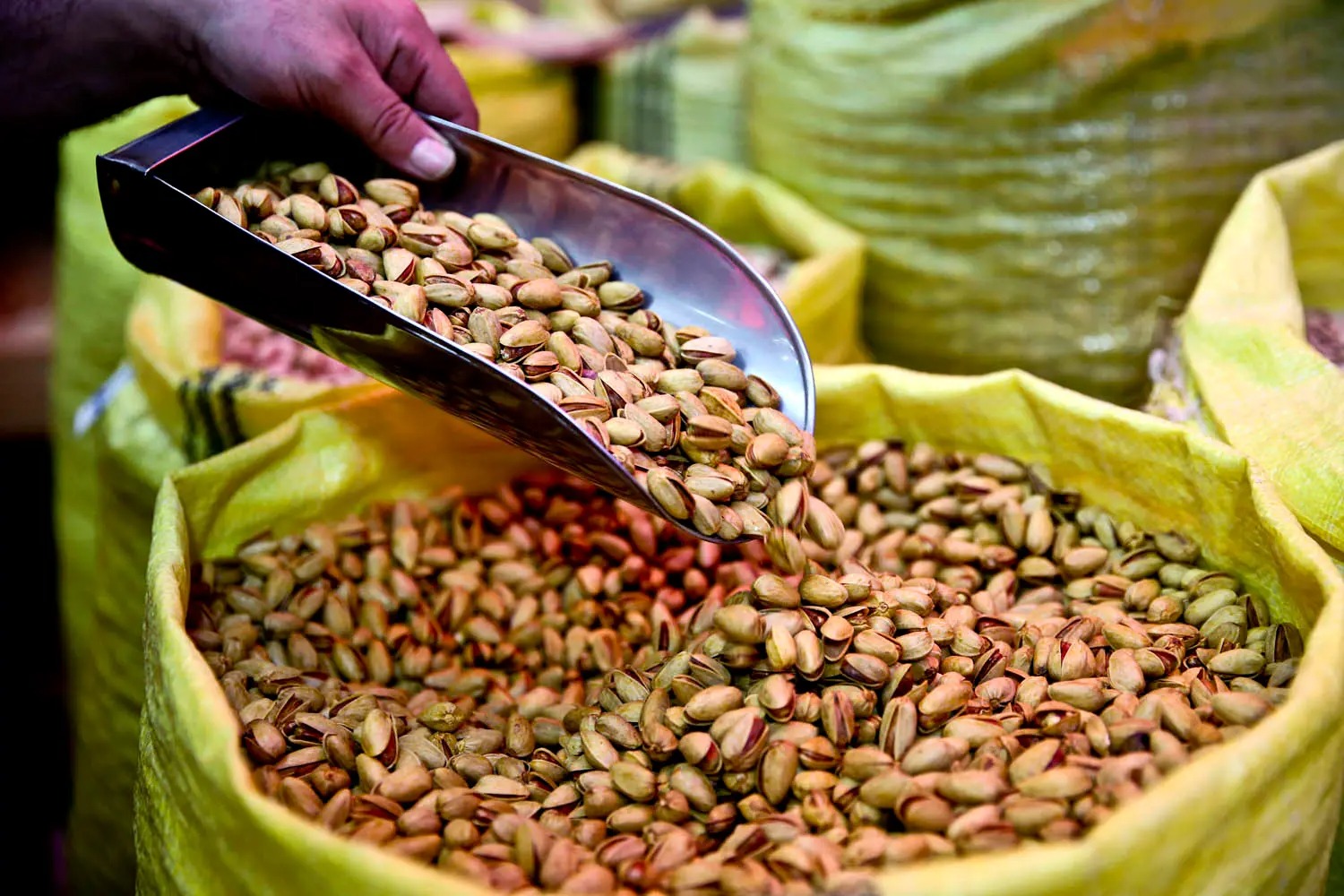 أسعار الفستق