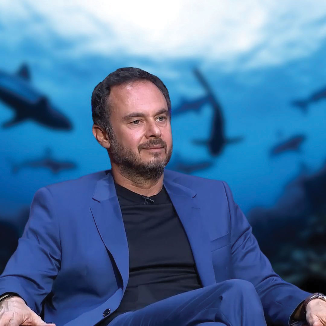 أحمد طارق خليل