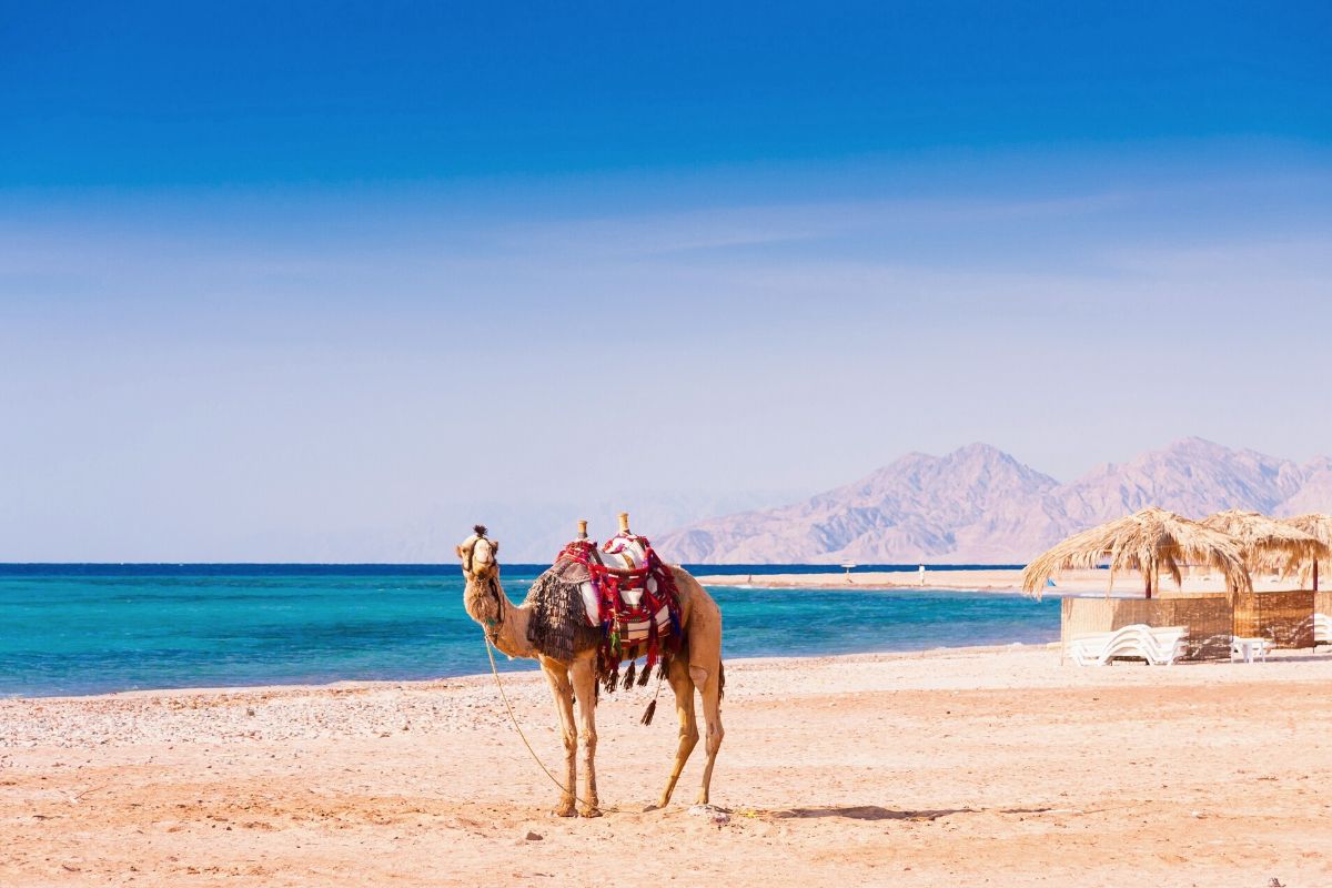 البحر الأحمر