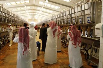 لأول مرة في 2026.. الإنتاج الصناعي السعودي يتراجع 14.1% خلال مارس