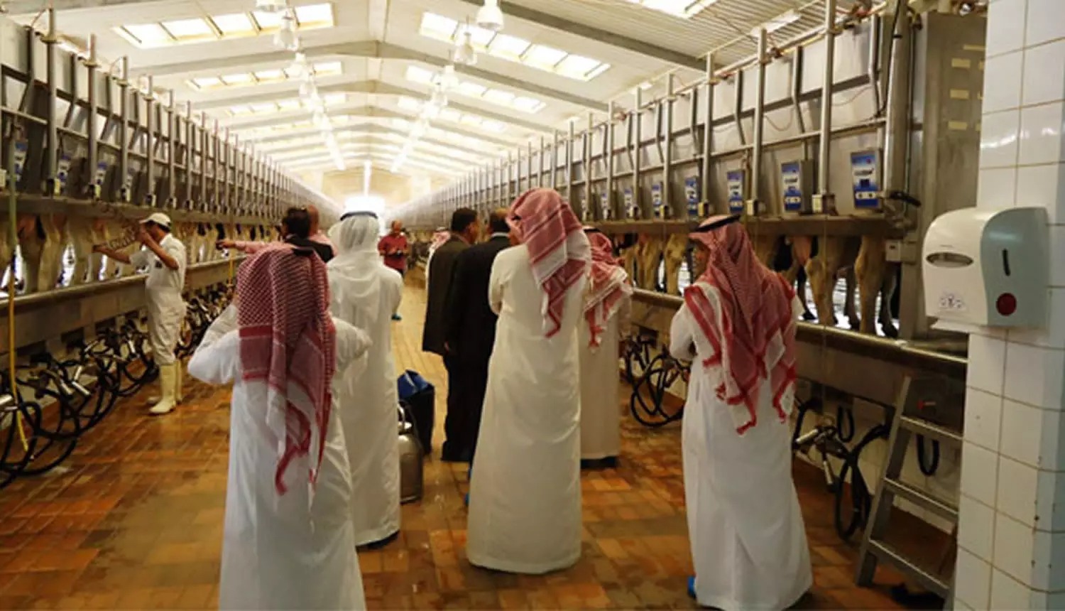 لأول مرة في 2026.. الإنتاج الصناعي السعودي يتراجع 14.1% خلال مارس - Economy Plus