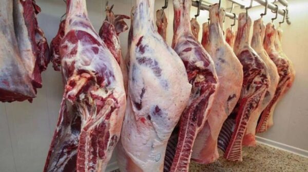 استعدادًا لعيد الأضحى.. الحكومة تطرح 669 طنًا من اللحوم المجمدة في الأسواق