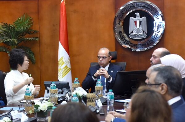 باستثمارات 20 مليون دولار.. شركة صينية تستهدف إنشاء مشروع لخطوط إنتاج السيارات في مصر