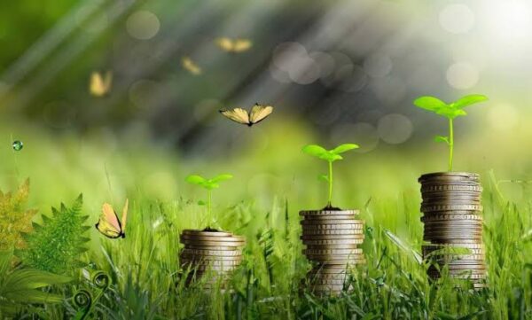 مصر تدرس إطلاق صندوق لتمويل مشروعات التحول الأخضر تحت مظلة السيادي