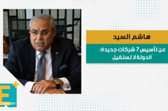 هاشم السيد عن تأسيس 7 شركات جديد: الدولة لا تستقيل
