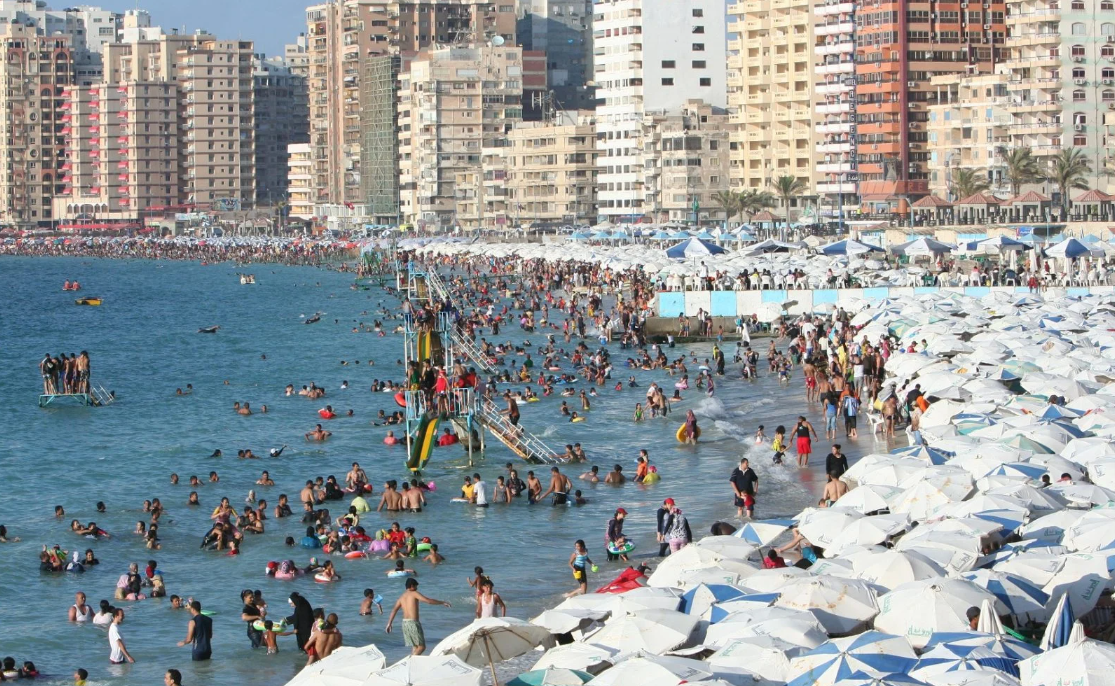 حرية نفاذ