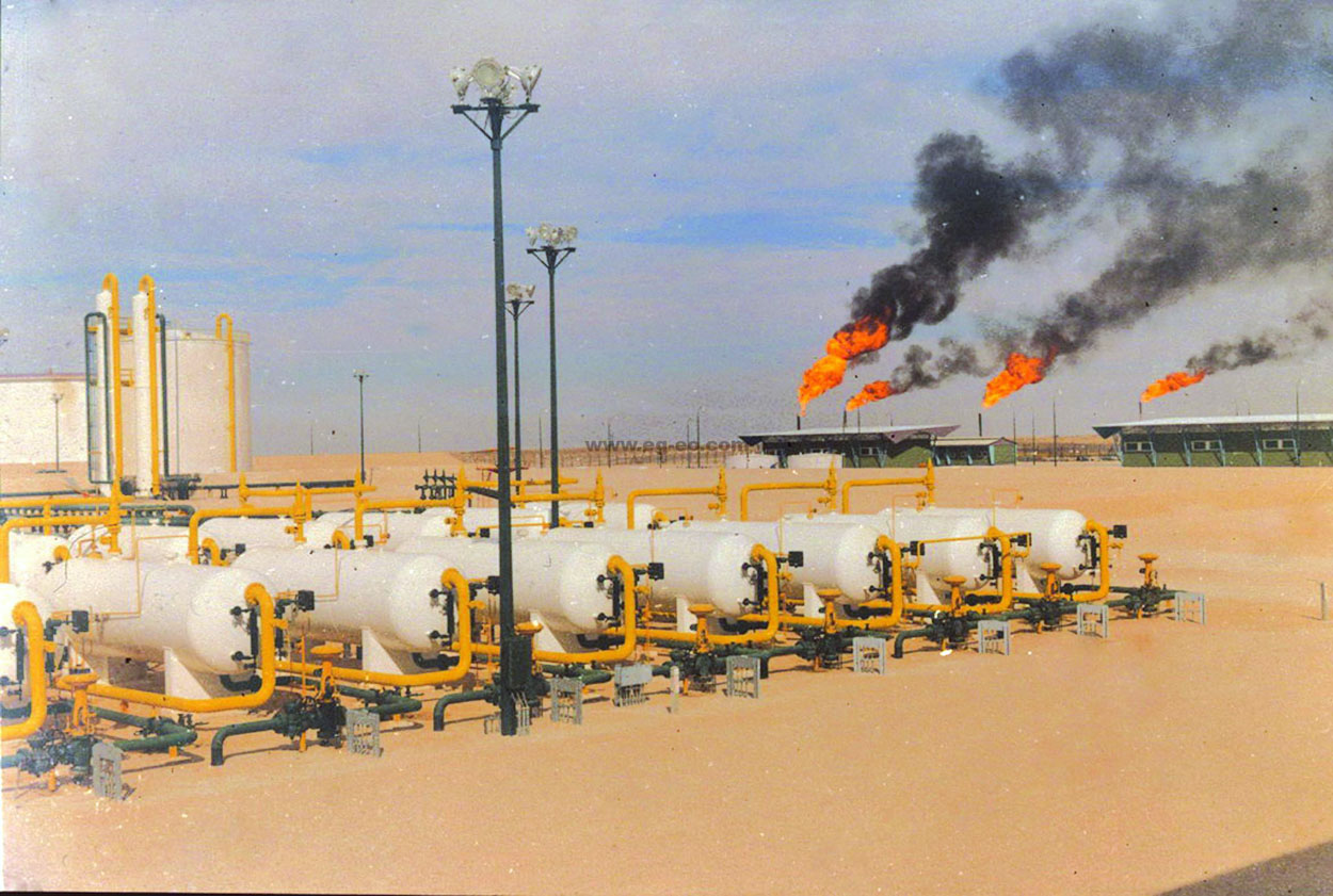 شركة جنوب الوادي